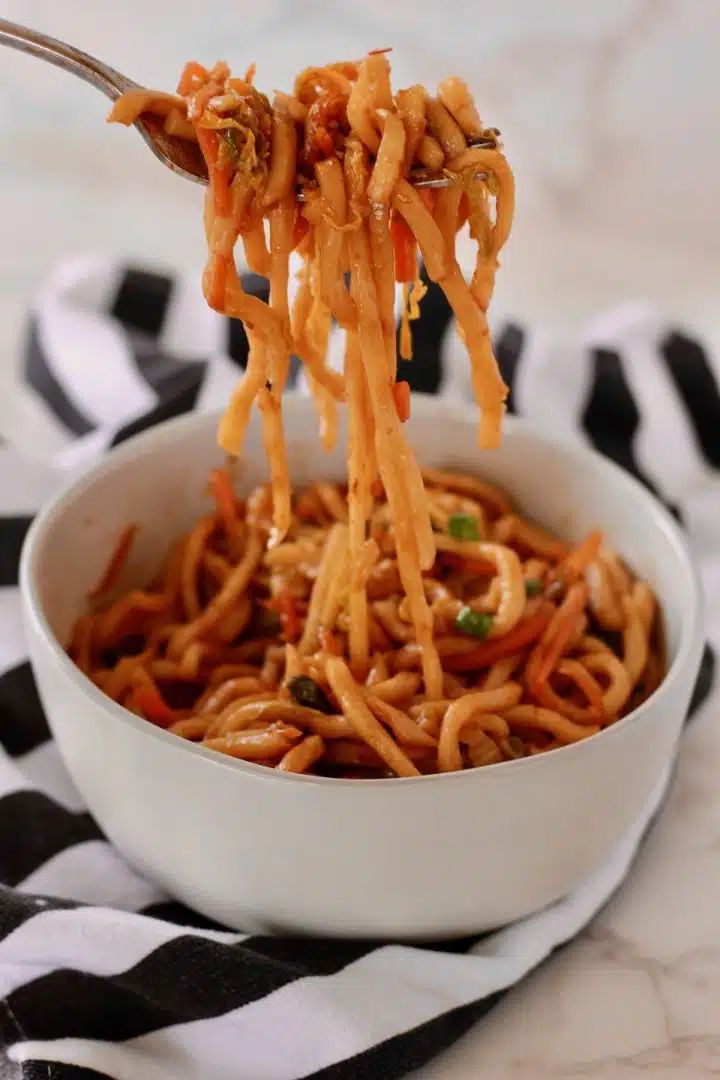 spicy udon noodles