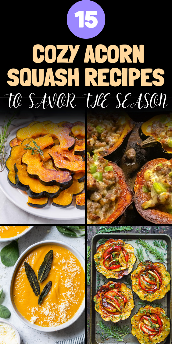15 Cozy Acorn Squash Recipes to Savor the Season